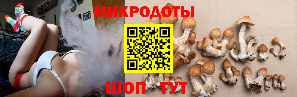 Псилоцибиновые грибы MAGIC MUSHROOMS  Вход с VPN  Ялуторовск 